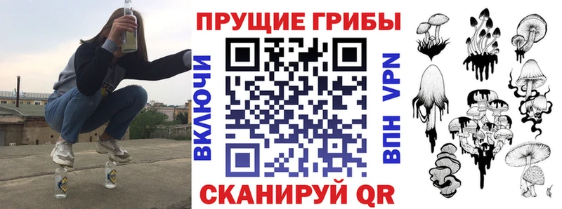 дарк нет Telegram  Севск  Галлюциногенные грибы GOLDEN TEACHER 